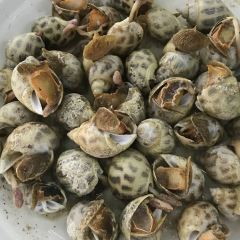 利众海鲜大排档(巽寮湾老字号海鲜店) User Photo
