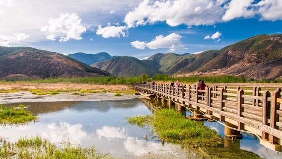 Мостик брака