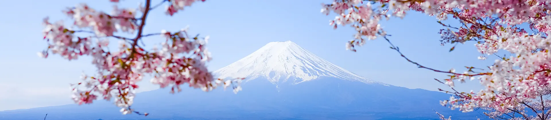 11大人氣景點