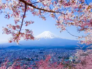 富士河口湖町11大人氣景點