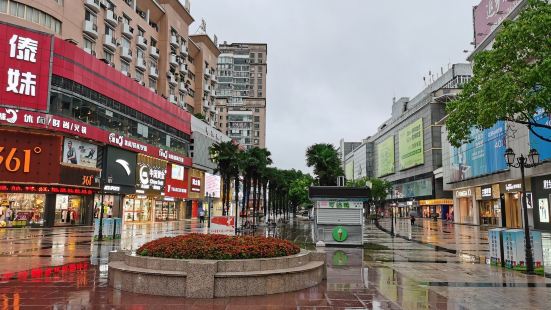 中央的道路上面的话，基本上也没有什么商业店铺之类的，旁边的商