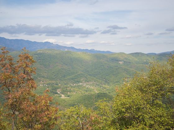 照金香山