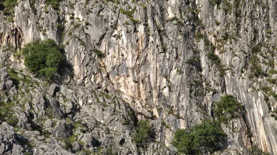 大鄣山卧龍谷