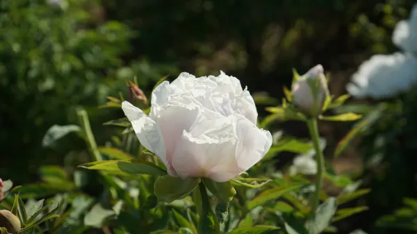 菏澤希爾頓花園酒店