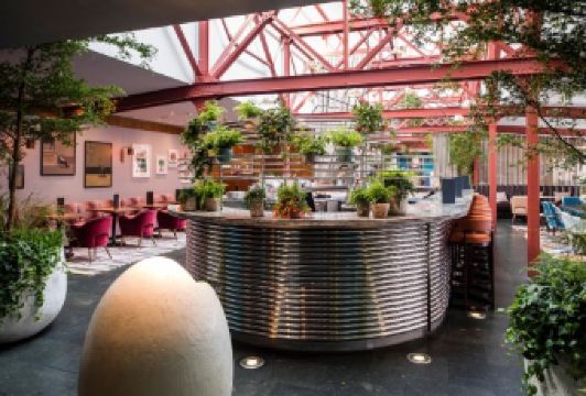 Bluebird Chelsea User Photo