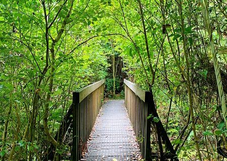 Shakespear Regional Park