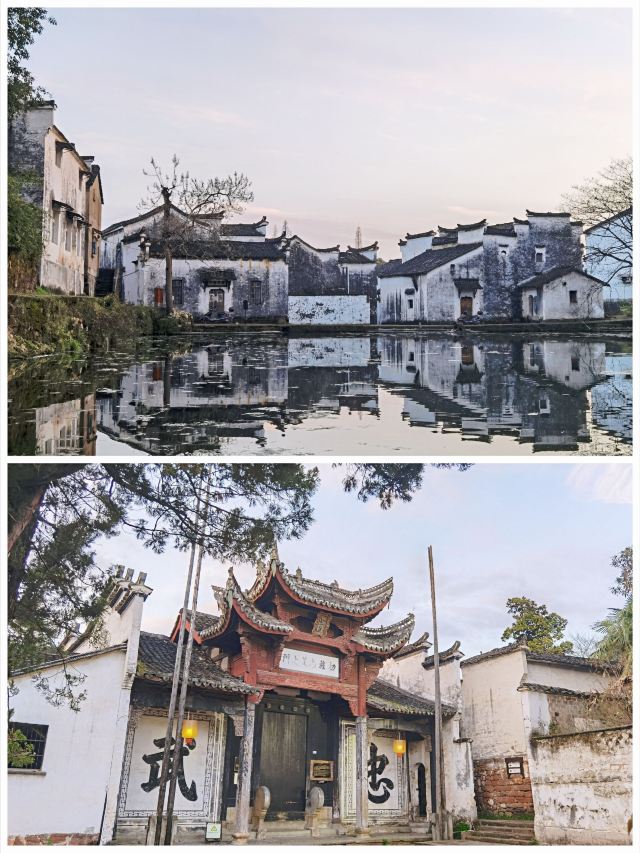 제갈팔괘촌