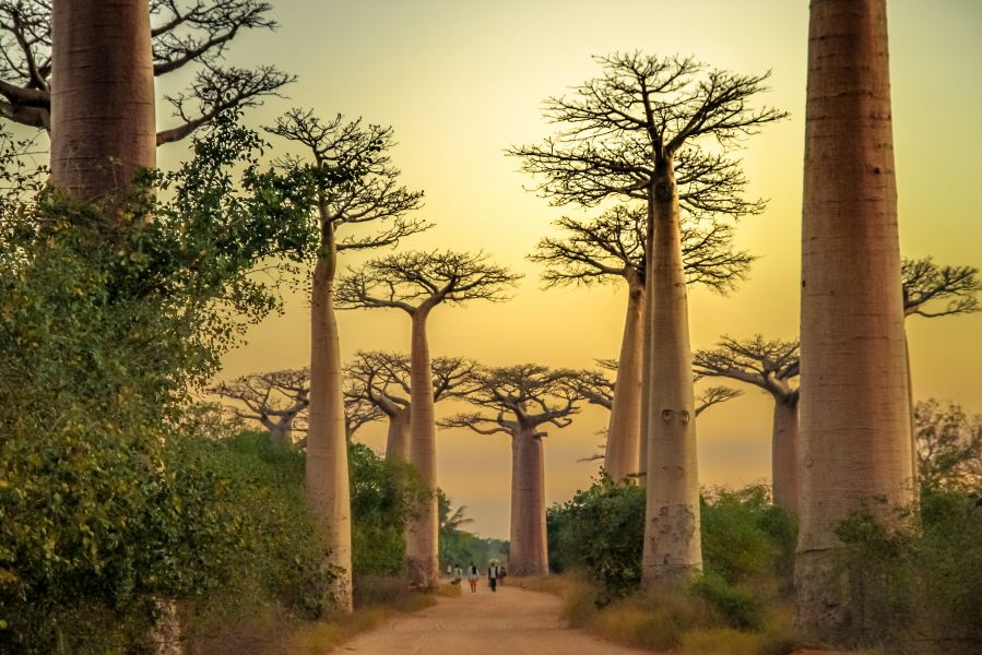 London to Morondava Flights