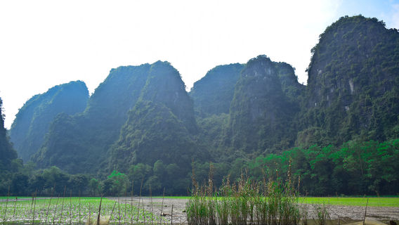 Tràng An Landscape Complex