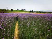 The Flower Town (Huatian Town) in Wuyi