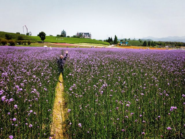 The Flower Town (Huatian Town) in Wuyi