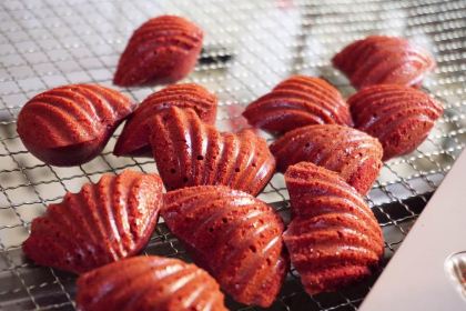 The Sunsite PillowBooks