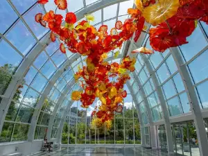 Museum of Glass