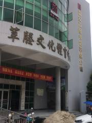Xincheng Culture & Sports Center