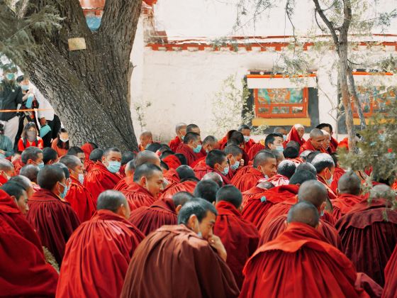 Scriptural Debate Of Drepung Monastery