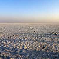 Rann of Kutch-Gujarat, India