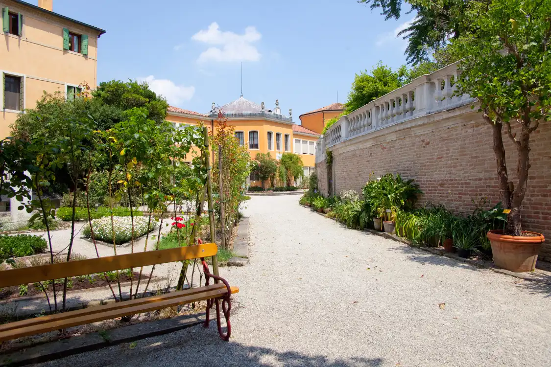 Hotels near University of Padua Botanical Garden