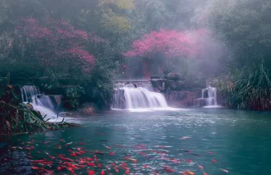 地下長河景區門票成人