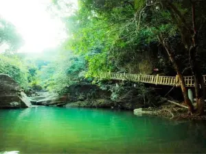 Paiyang Mountain Forest Park