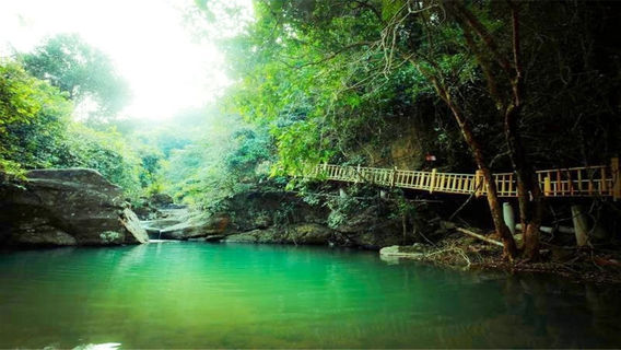 Paiyang Mountain Forest Park