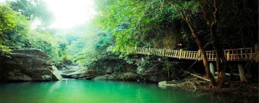 Paiyang Mountain Forest Park
