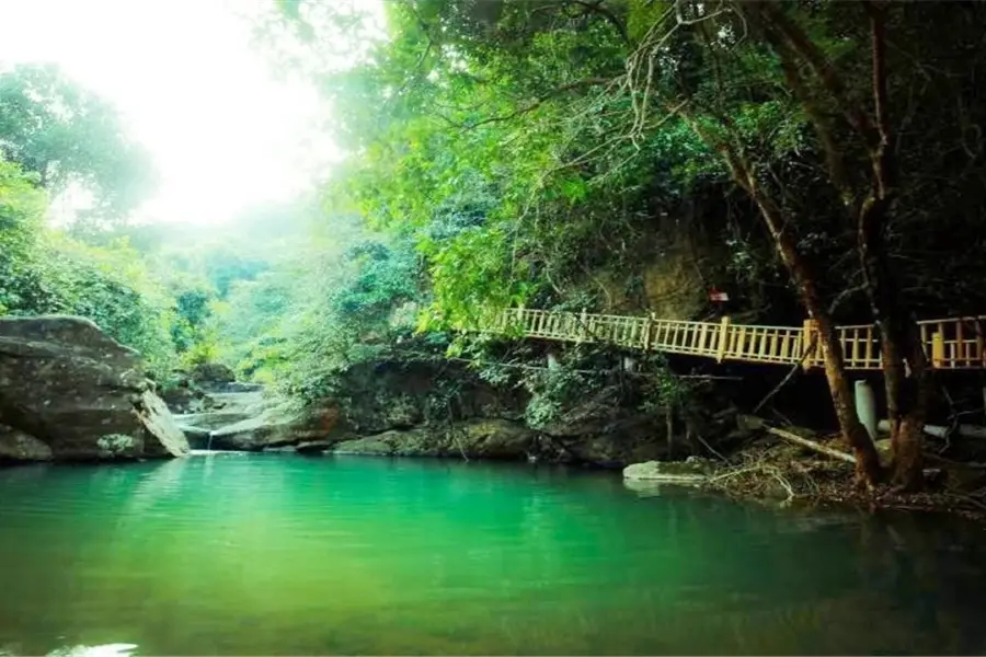 Paiyang Mountain Forest Park