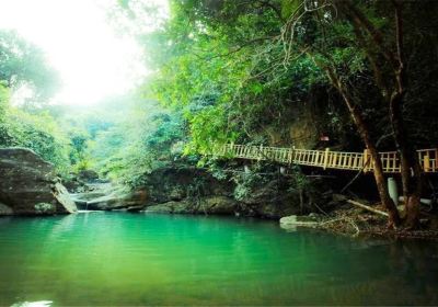 Paiyang Mountain Forest Park