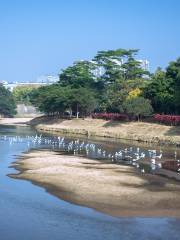 Парк водно-болотных угодий в реке Куанчжо
