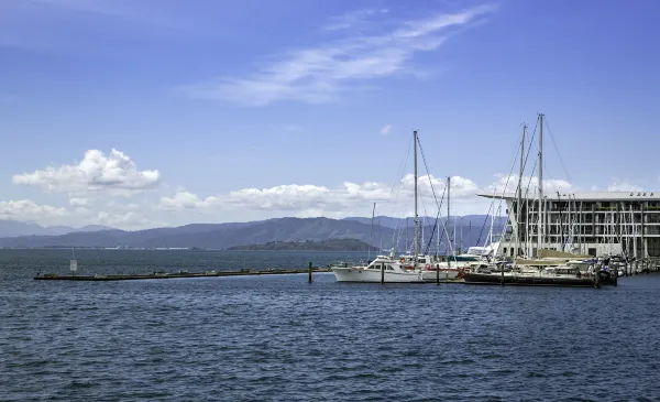 Air New Zealand to Nelson