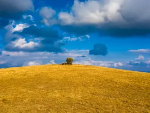 Dongshan Grassland
