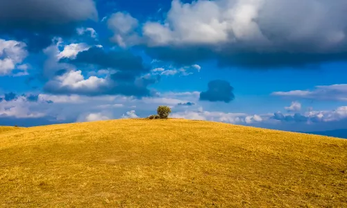 Dongshan Grassland