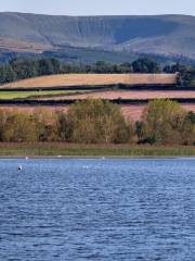 Llangorse Lake