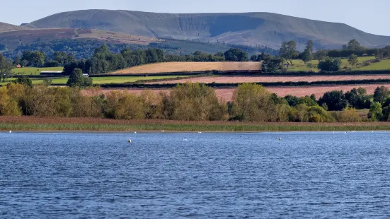 Llangorse Lake