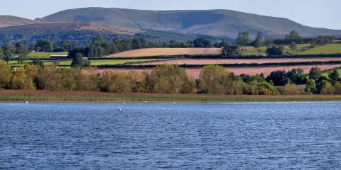 Llangorse Lake