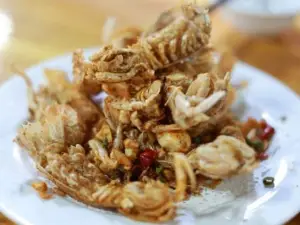 Jinluanyujia