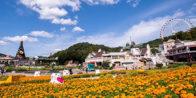 Những Điều Phải Làm Ở Gyeonggi 2023 - Hướng Dẫn Du Lịch Ở Gyeonggi - Vé Địa  Điểm Tham Quan Được Đề Xuất Ở Gyeonggi, Khách Sạn, Nơi Để Tham Quan, Nơi