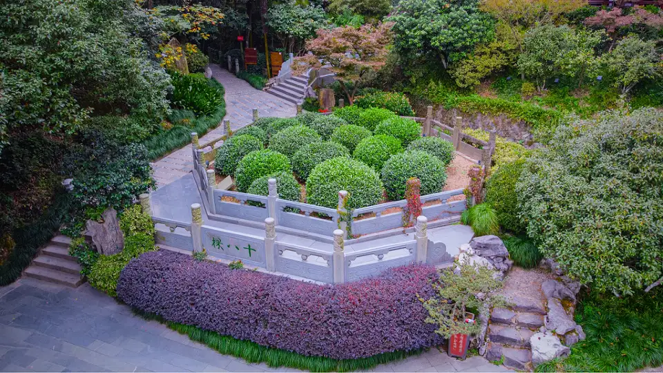 4_老龍井十八棵御茶園