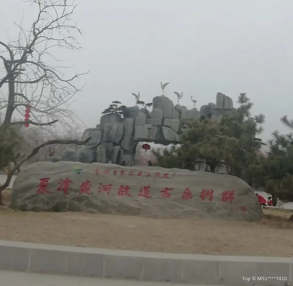 2_夏津黃河故道森林公園