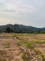 Six Tombs of Song Dynasty