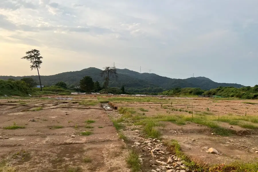 Six Tombs of Song Dynasty