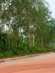 Parc national Phou Phanang