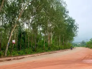 Phou Phanang National Bio-Diversity Conservation Area