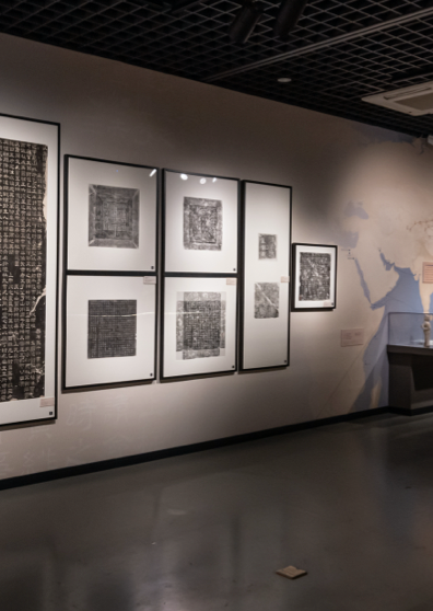 Hubert Reeves between the lines | Montreal Biodome