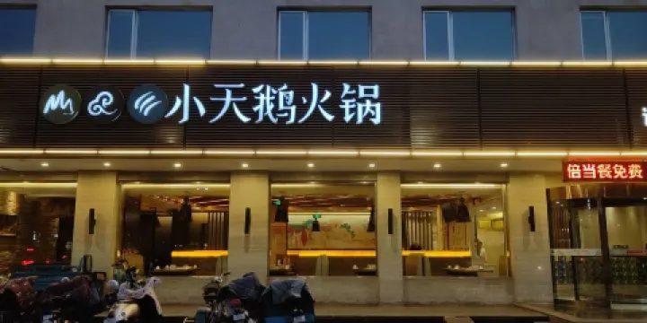 重慶小天鵝火鍋