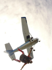 Coffs City Skydivers
