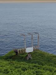 Radio Astronomy Historical Plaque & Replica Antenna