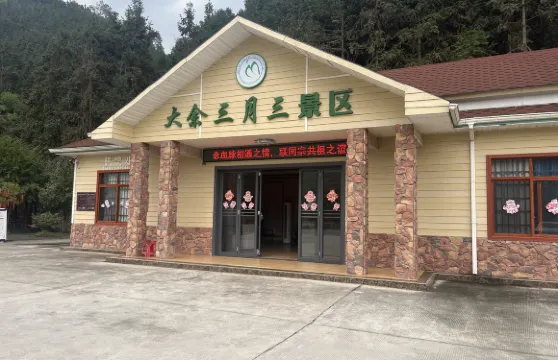 雙田三月三景區門票小童