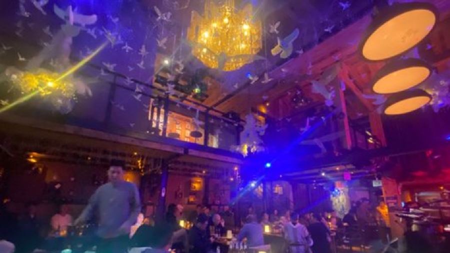 丽江飞鸟民谣酒吧(束河店)