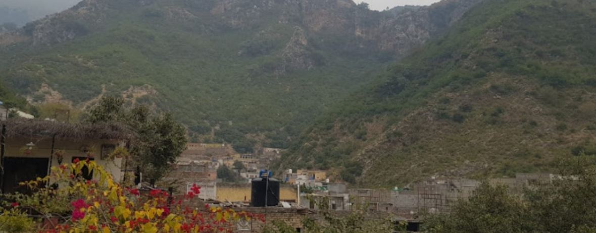 Des Pardes Restaurant