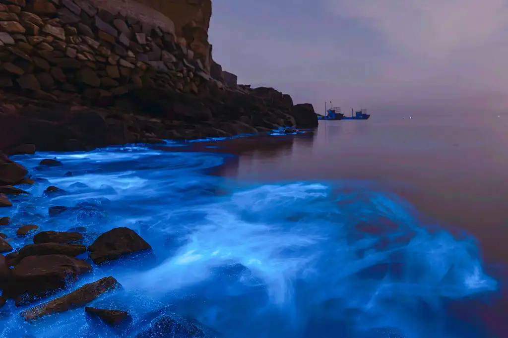 鄰近藍眼淚觀景點（流水鎮後田村海灘）的酒店